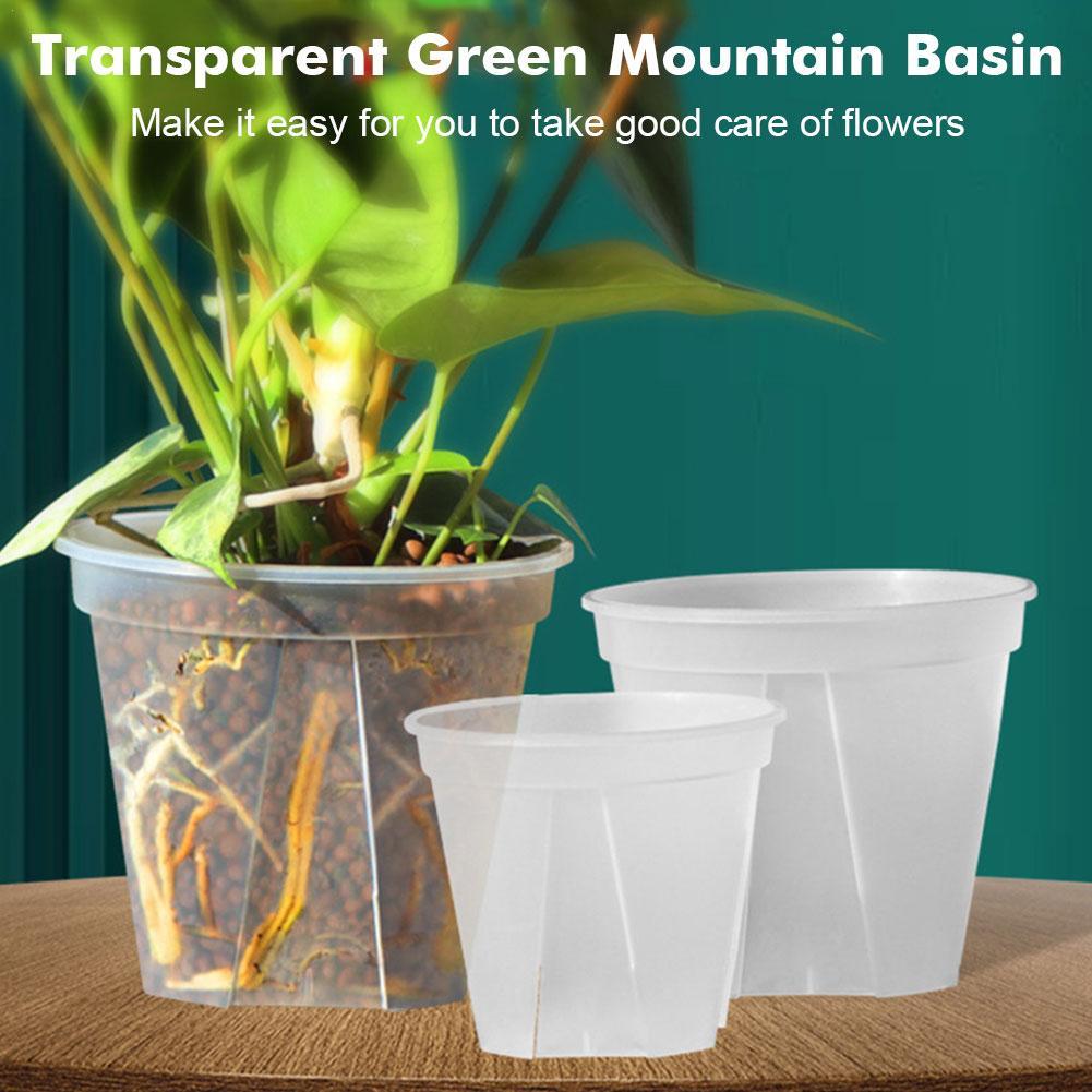 난초 심기용 투명 플라스틱 화분, 뿌리 관리 화분, 자 - Aloe Vera Pot 리뷰 및 가격