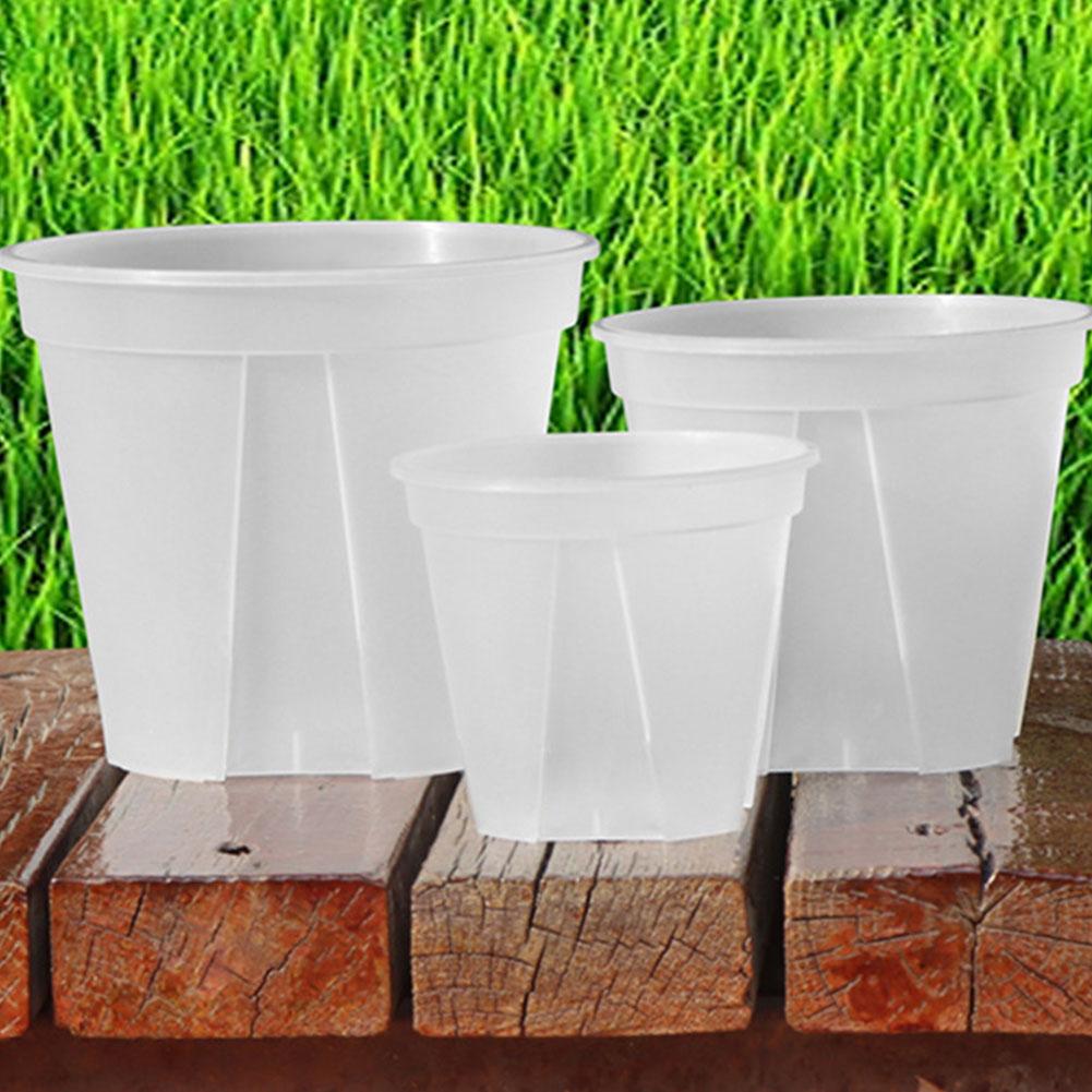 난초 심기용 투명 플라스틱 화분, 뿌리 관리 화분, 자 - Aloe Vera Pot 리뷰 및 가격