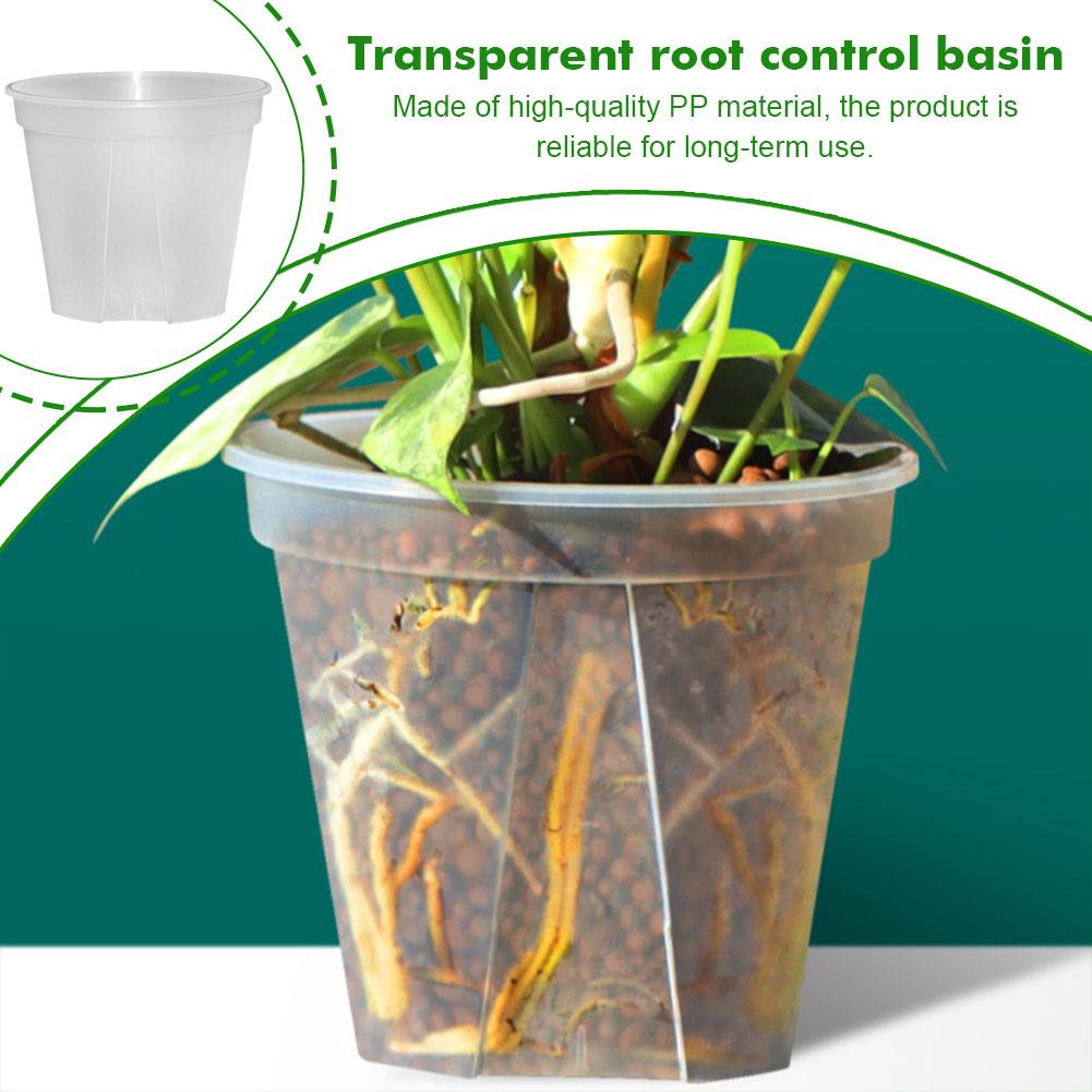 난초 심기용 투명 플라스틱 화분, 뿌리 관리 화분, 자 - Aloe Vera Pot 리뷰 및 가격