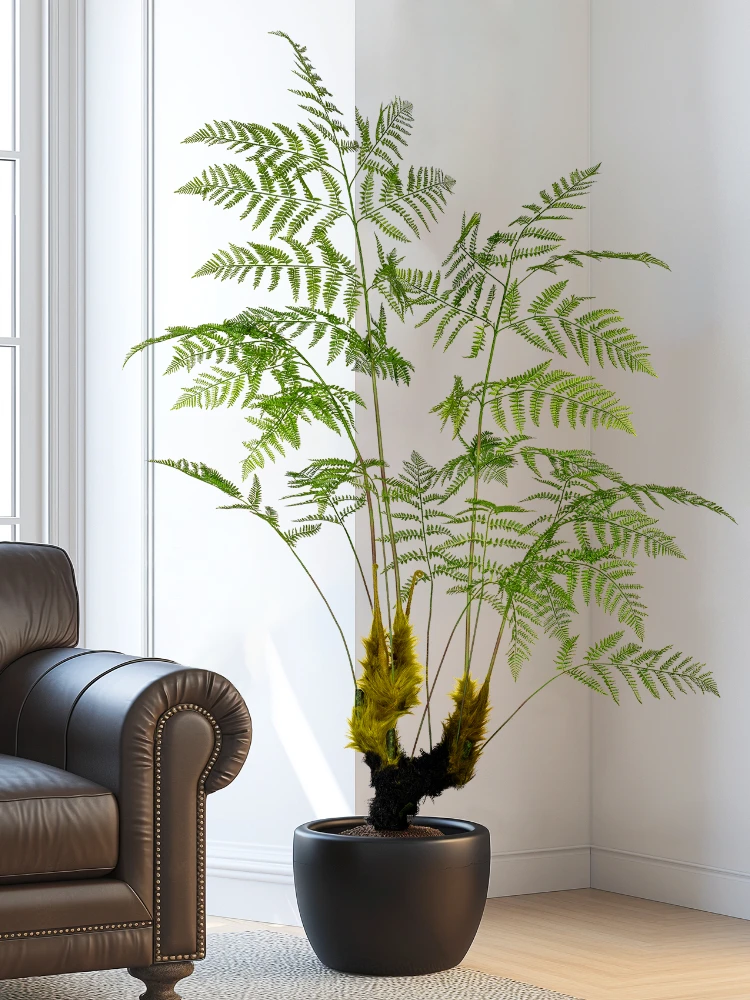대형 시뮬레이션 황금 원숭이 고사리 녹색 식물 고사리  - Dracaena Marginata 리뷰 및 가격