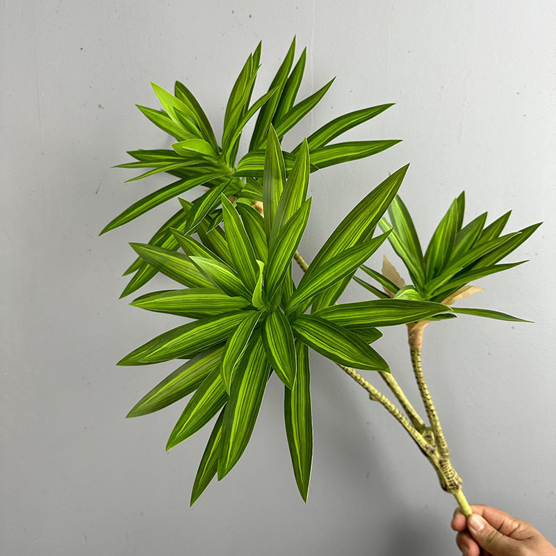 시뮬레이션된 녹색 식물 3개의 백합 대나무 드라세나 산 - Dracaena Marginata 리뷰 및 가격