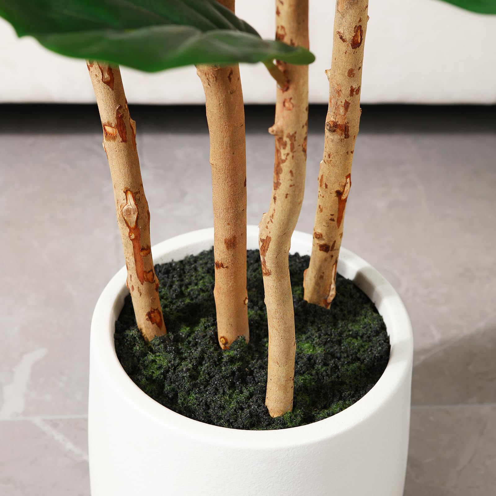 흰색 화분에 담긴 인조 피들리프 피규스 나무, 높이 5 - Ficus Lyrata Tree 리뷰 및 가격